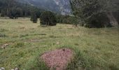 Trail On foot Medel (Lucmagn) - Sentiero naturalistico Lucomagno 3 - Photo 1