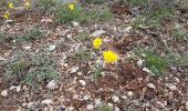 Excursión Senderismo Le Caylar - Le Caylar - Le Cros - La Couvertoirade - Photo 16