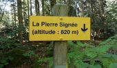 Trail Walking Saint-Ours - les Roches pierre signée  - Photo 1