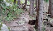 Tour Wandern Chamonix-Mont-Blanc - Chamonix, cascade du dard,  glacier des boissons - Photo 3