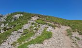 Trail Walking Mont-Dore - LE PUY DE SANCY PAR LE VAL DE COURRE ET LA TETE DE FLON  - Photo 3