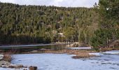 Tour Wandern Les Angles - Lac de Balcère - Photo 9