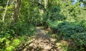 Trail Walking Andenne - Seilles - Balade du chant d'oiseau n° 6 (AD28) - Photo 5
