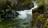 Tour Zu Fuß Irdning-Donnersbachtal - Klammrundweg - Photo 2