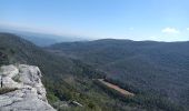 Tour Wandern Solliès-Toucas - Moriéres - Photo 4