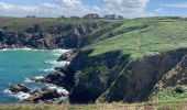 Randonnée Marche Cléden-Cap-Sizun - Pointe du Van - Photo 20