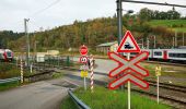 Trail On foot Troisvierges - Village de Resistance - Photo 6