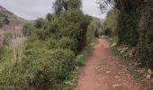 Randonnée Marche Alaior - Cala en Porter – Sant Tomàs - Photo 8