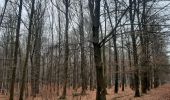 Trail Walking Saint-Hubert - adeps St Hubert  - Photo 5