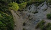 Trail Walking Lans-en-Vercors - les allieres, COL de l arc, et pic ST Michel - Photo 12