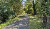 Excursión Bicicleta híbrida Vendays-Montalivet - Vendays - Larnac - Queyrac - Photo 2