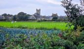 Tour Wandern Les Pieux - Séjour Cotentin Etape 5 Les Pieux - Barneville - Photo 11