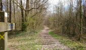 Trail Walking Sorigny - Sorigny - 10.6km 45m 2h10 - 2018 03 18 - Photo 2