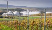 Tour Zu Fuß Neckarwestheim - N2 Von der Neckarburg zum Liebensteiner Schlossberg - Photo 6