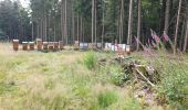 Tocht Stappen Grandfontaine - Positions fortifiées du Donon sentier des casemates - sud - Photo 12