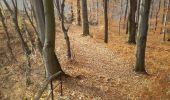 Trail On foot Ojców - Szlak Jaskini Ciemnej - Photo 10