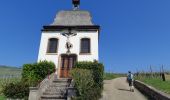 Randonnée Marche Marlenheim - Circuit sur les hauteurs de Marlenheim - Wasselonne autour du Stephansberg - Photo 11