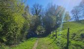 Trail Walking Bassenge - A la découverte de Glons 🥾 - Photo 2
