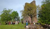 Tocht Stappen Saverne - Saverne et ses châteaux  - Photo 19