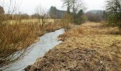 Tour Zu Fuß Ulflingen - Cornelysmillen Pfad - Photo 4