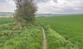 Trail Walking Escalles -  Cap Blanc Nez-Wissant-mont de Couple 25 km - Photo 6