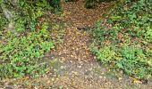 Randonnée Marche Vendôme - Petit parcours dans la partie Sud-est du Bois de l'Oratoire - Photo 1