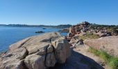 Randonnée Marche Perros-Guirec - LE SENTIER DES DOUANIERS  - Photo 5