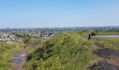 Randonnée Marche Hénin-Beaumont - Parc des Iles Hennin Drocourt - Photo 12