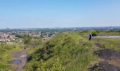 Trail Walking Hénin-Beaumont - Parc des Iles Hennin Drocourt - Photo 12