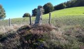 Randonnée Marche Lieutadès - Les Mazes - Lieutadès - Photo 6