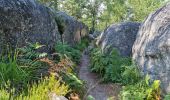 Tocht Stappen Fontainebleau - Barbizon sentier Denecourt 6 ouest - 6-6 - Photo 16