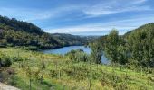 Excursión Senderismo Sobrado e Bairros - Castelo de Paiva - Douro (GR60) - Photo 9