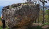 Trail Walking Saint-Pierre-d'Alvey - Mont Tournier pierre vire-28-04-23 - Photo 3