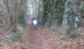 Trail Walking Franqueville-Saint-Pierre - 20211214-franqueville-st-leger - Photo 9