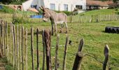 Excursión Senderismo Genappe - en passant par le bois ballon et les vignes du château de Bousval. - Photo 9