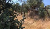 Trail Walking Castell-Platja d'Aro - Platja d'aro collines - Photo 6