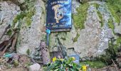 Trail Walking Sondernach - Sortie du 22/04/2022..Landersen..Petit Ballon - Photo 1