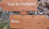 Tour Wandern Bairols - trace mont falourde 2023-04-07 - Photo 1