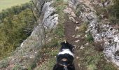 Tour Wandern Anhée - Boucle Anhée - poilvache - les roches yvoir - Photo 5