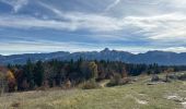 Trail  Corrençon-en-Vercors - Col de château Julien  - Photo 10