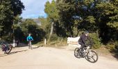 Trail Mountain bike Riboux - Riboux le Latay - Photo 2