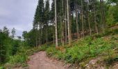 Tour Wandern Viroinval - Balade à Regniessart - Viroinval - Photo 2