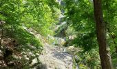 Percorso Marcia Vernet-les-Bains - Col de Llavent et Abbaye St Martin du Canigou - Photo 1