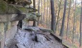 Tour Wandern Noisy-sur-École - Canche aux Merciers 01-03-23 - Photo 5