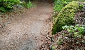 Trail Walking Cheylard-l'Évêque - gr 70 stephenson sagne rousse-> cheylard l'évêque  - Photo 1