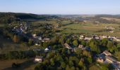 Tocht Stappen Nassogne - Ambly  - Wandeling - Roadbook Famenne-Ardennen - Photo 4