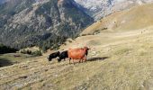 Tour Wandern Tende - col sabion  - Photo 14