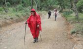 Tocht Stappen La Seyne-sur-Mer - tour à Janas - Photo 2