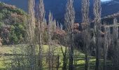 Tour Wandern Piégros-la-Clastre - chateu de piegros - Photo 8