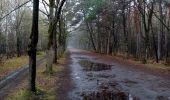 Excursión Marcha nórdica Belœil - mielikki  - Photo 1